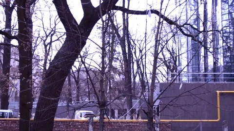 Wall In Timelapse At Autumn Stock Footage 116990637