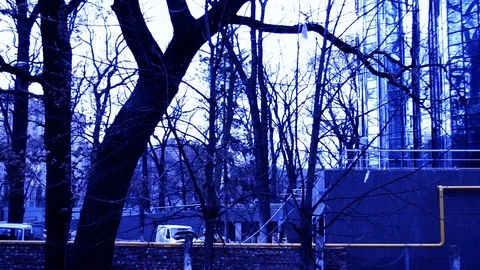 Wall In Timelapse At Cold Weather Stock Footage 116990830