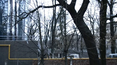 Wall In Timelapse Stock Footage 116990636