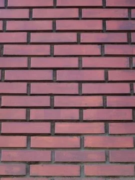 Wall tissue 写真素材