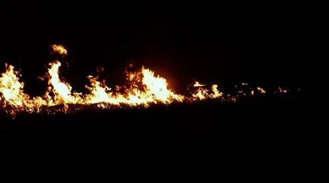 A Wall of Tongues of Flame Move Upward in the Darkness Closeup Stock Footage 66419802