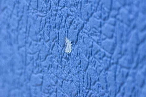 Wall with a torn piece of wallpaper Stock Photos