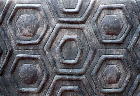The wall turtle shell texture background Stock Photos