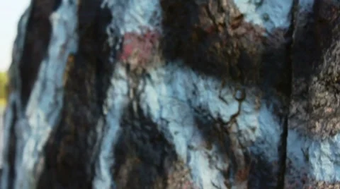 Wall under bridge v3 Video stock 7763094