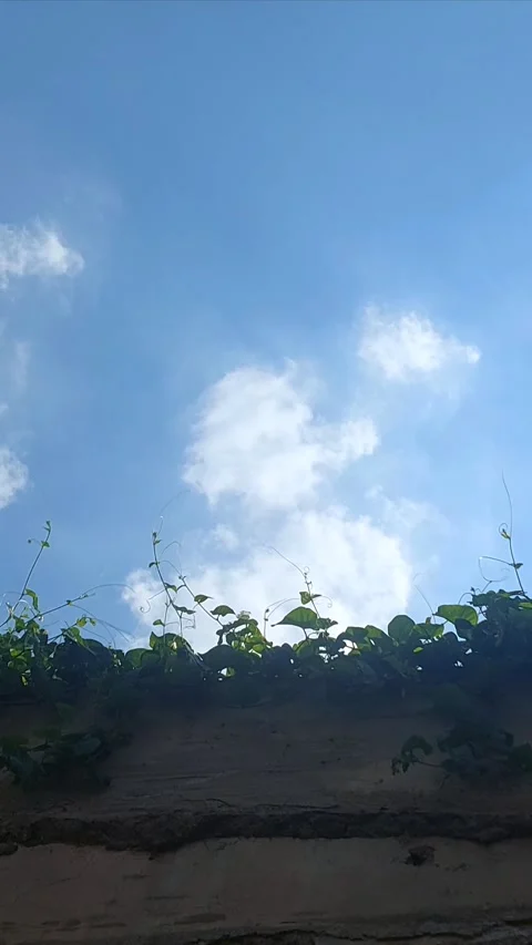 Wall under the Sky, Vertical Stock Footage 308241424