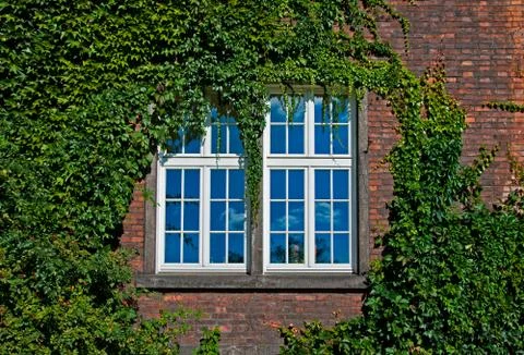 Wall with a window Stock Photos