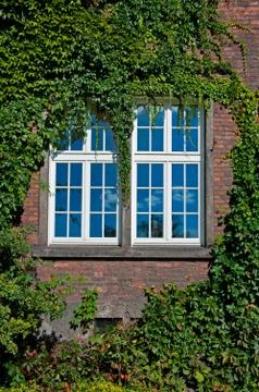 Wall with a window Stock Photos