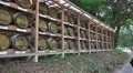 Wall of Wine Barrels At The Meiji Jingu Shrine 4k or 4k+ Resolution