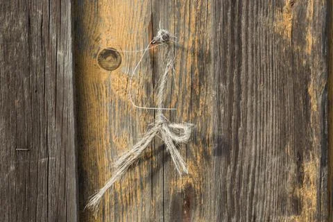 Wall of wood with texture as background Stock Photos