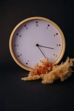 Wall wooden clock and pampas on black background Stock Photos