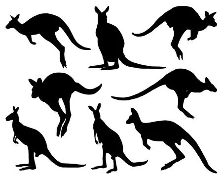 WALLABY SILHOUETTE VECTOR ART Stock Illustration