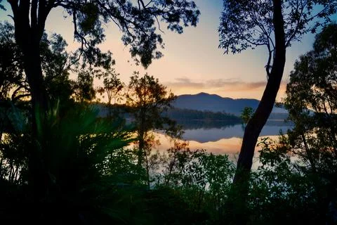 Wallaga Lake Sunset through trees Stock Photos