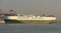 Wallenius Wilhelmsen Car/Truck Carrier Ship 1 HD Footage