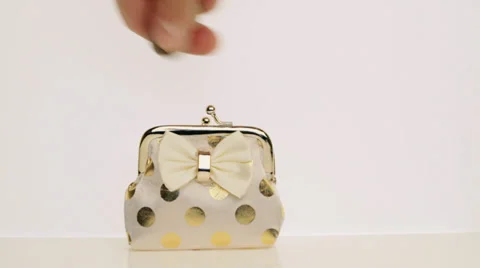 Wallet and coins Stock Footage 33350023