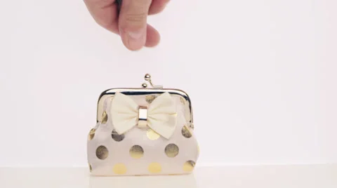 Wallet and coins Stock Footage 33353218