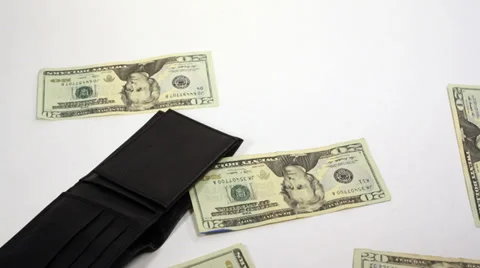 Wallet 스톡 동영상 33045736