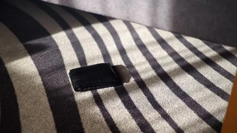 Wallet found on striped rug under table in a home setting Stock Footage 345475955