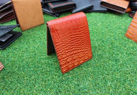 Wallet on grass Stock Photos