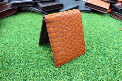 Wallet on grass Foto stock