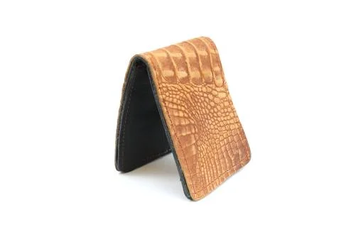 Wallet of leather on isolated Foto stock