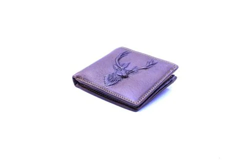 Wallet of leather on isolated Stock Photos