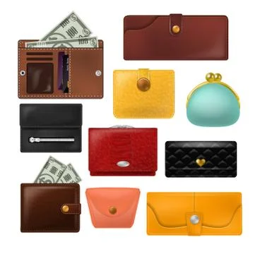 Wallet vector leather purse and business billfold with banknotes money Stock Illustration