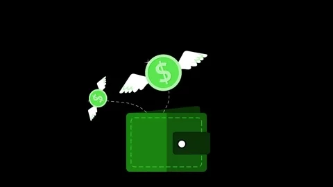 Wallet with winged coins flying away animation Stock Footage 333924591