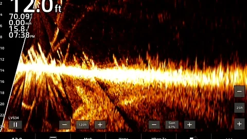 Walleye chasing in weeds3 Stock-Footage 337518843