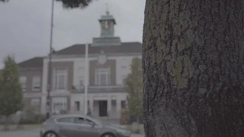 Wallington Town Hall Stock Footage 116556612