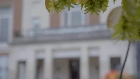 Wallington Town Hall Stock Footage 116557318