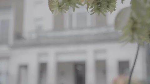 Wallington Town Hall Stock Footage 116557419