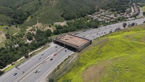 Wallis Annenberg Wildlife Crossing Stock Footage 308903250