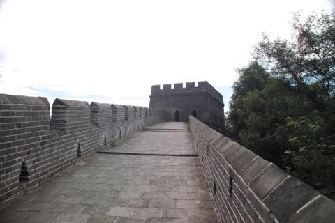 The Walllike 스톡 사진