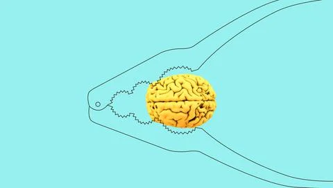 Wallnut brain Stock Illustration