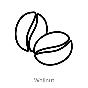 Wallnut Stock Illustration