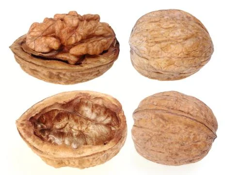 Wallnut Stock Photos