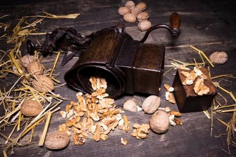 Wallnuts and hand walnuts grinder Stock Photos