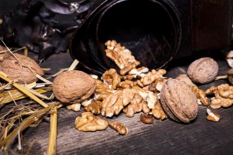 Wallnuts and hand walnuts grinder Stock Photos