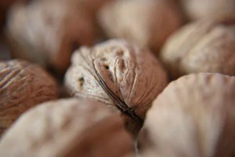 Wallnuts close-up look Stock Photos