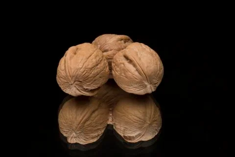 Wallnuts on mirror Фото