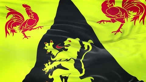 Walloon Brabant flag waving in the wind with highly detailed fabric texture Video stock 134903302