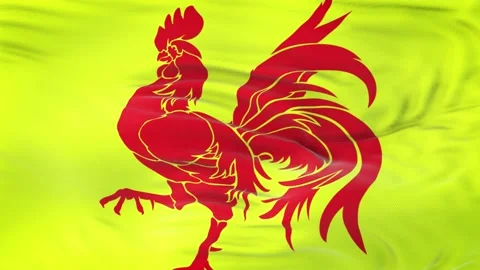Walloon flag waving in the wind with highly detailed fabric texture 動画素材 134903308