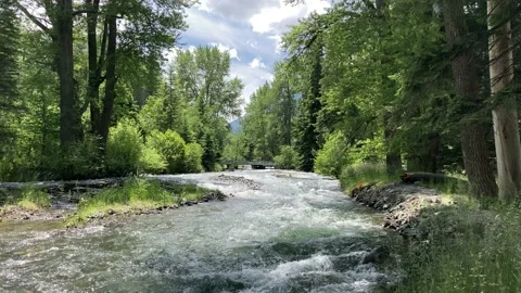 Wallowa River flowing through Oregon, USA (4k) Stock Footage 135690839