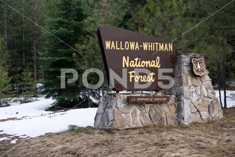 Wallowa Whitman National Forest Entry Sign Boundary Oregon State USA Stock Photos