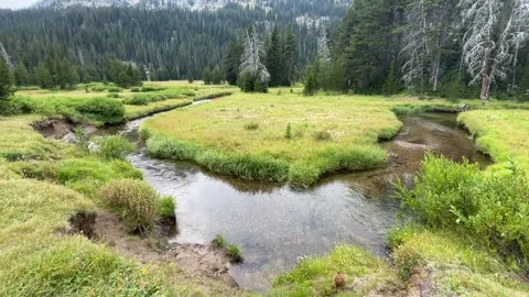 Wallowas Eagle Cap Wilderness: bend in East Fork of Wallowa River Stock-Footage 329454920