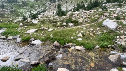 Wallowas Eagle Cap Wilderness: creek flowing through alpine cirque Stock-Footage 329454982