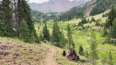 Wallowas Eagle Cap Wilderness: hiking East Fork Wallowa River Video stock 329454929