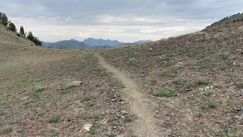 Wallowas Eagle Cap Wilderness: hiking Tenderfoot Pass Video stock 329454930