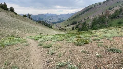 Wallowas Eagle Cap Wilderness: hiking the trail with distant views Stock-Footage 329454932