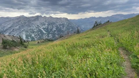 Wallowas Eagle Cap Wilderness: hiking through green meadow with dark clouds Video stock 329454948